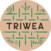 Triwea